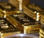 "과거 실물 금 투자수익이 금관련주 보다 5배 높아"