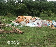 페인트통·폐목자재..제주 영어교육도시 미분양지 무단 폐기물 '몸살'