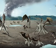 한반도 살던 익룡들 '모여 살았네'..전남대 연구팀 세계 최초 '군집생활' 화석 발굴