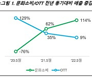 넷플·유튜브는 많이 봤으니..문화소비 결제 2배 늘었다