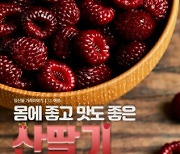 산림청 '임산물 가족이야기' 블로그로 소개..첫 주인공은 '산딸기'
