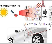 '자동차 표면흠집 햇빛으로 수리'..화학연, 자가치유 코팅기술 개발