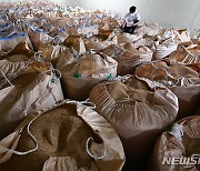 쌀값 45년 만의 최대 하락 '비상'