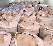 곡물가격 상승에도 떨어지는 쌀값