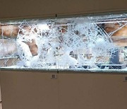 [영상] 네덜란드 미술 골동품 아트 페어에서 무장 강도 발생