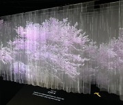 [게시판] 인천 서구 국립생물자원관서 '가상의 숲' 전시