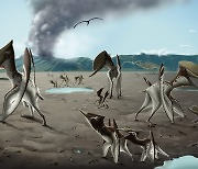 전남대, 세계 최초 '익룡 군집 생활 증명' 발자국 화석 발굴