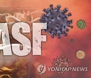 강원도, 홍천군 아프리카돼지열병(ASF) 이동 제한 해제