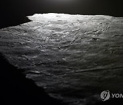 "익룡 군집생활 증명하는 발바닥 화석"