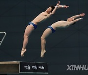 (SP)HUNGARY-BUDAPEST-FINA WORLD CHAMPIONSHIPS-DIVING-MEN'S 10M SYNCHRONISED