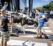NETHERLANDS FARMERS PROTEST