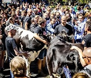 NETHERLANDS FARMERS PROTEST