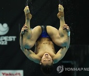 Hungary Swimming Worlds