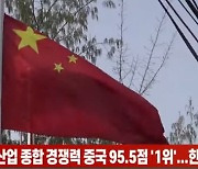 (영상)이차전지산업 종합 경쟁력 중국 95.5점 '1위'..한국 86.3점