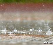 [오늘의 날씨] 충북·세종(29일, 수)..강풍 동반 시간당 50mm 강한 비