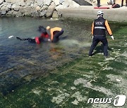 '동백항 추락' 숨진 여동생의 오빠 동거녀 구속 기소.."보험 살인극"