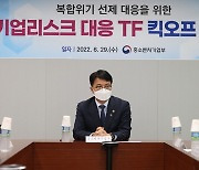 "복합위기 선제 대응"..중기부, '기업리스크 대응 TF' 신설·운영