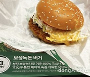맥도날드 한국의 맛 2탄 '보성녹돈 버거' 먹어보니.. "스르르 녹는 패티·매콤 치즈 조화"