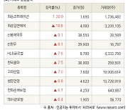 [fnRASSI]장마감, 거래소 상승 종목(화승코퍼레이션 30.0% ↑)