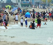 동해안 해수욕장 3년만에 개장, 리조트 예약 '들썩'
