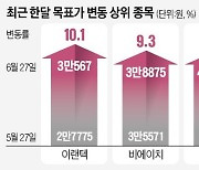 "불황 속 주가 청신호"..목표價 뛴 기업 어디?