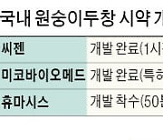 원숭이두창 퍼진 유럽시장 공략..국내 진단업계 앞다퉈 시약 개발