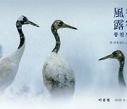 캐논코리아, 이종렬 야생 조류 사진전 '풍찬노숙' 개최