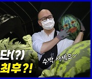 [두잇고잇] 수확부터 식탁에 오르기까지..'맛있는' 수박 A to Z