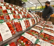 "고물가시대 취약계층 지원"..농식품바우처 시범사업 확대한다