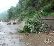 폭우로 흙사태 발생한 평남 덕천시 도로