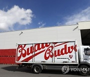 Czech Budvar