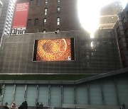 뉴욕 빌딩가에 나타난 초대형 작품, 조도중 화백의 Soil art '벌집(Honeycomb)'