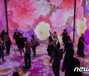 프랑스에서 선보인 韓 '연등회:빛과 색의 향연'