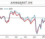 대구·경북 소비자심리지수 2개월 연속 하락