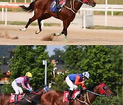 [경마]'위너스맨'부산광역시장배 우승, 스테이어 시리즈 3관왕 등극