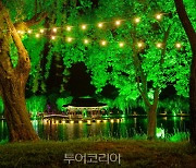 부여서동연꽃축제 팡파르.. 7월 1일 '야간경관 점등식' 개최