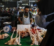 말레이시아, 물가 급등에 '닭고기 가격 상한제' 유지