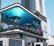 몰디브 관광청, '케이팝 스퀘어'에 초대형 3D 옥외 광고 캠페인