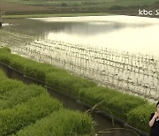 전남도, 친환경농업인 공동방제 홍보 강화