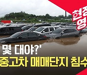 [현장영상] 수원 권선구 중고차 매매단지 침수..차량 100여 대 피해