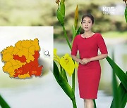 [날씨] 대구·경북 전 지역 폭염특보..내일 늦은 오후~저녁 곳곳 '소나기'