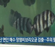 부산 연안 해수 장염비브리오균 검출..주의 필요