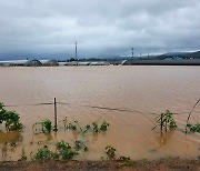주택·농경지 침수되고 도로 잠기고..충청권, 폭우피해 잇따라