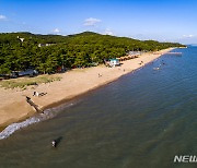 인천 해수욕장 28곳..7월 1일부터 차례로 개장