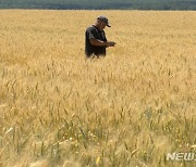 러시아 "우크라 베르댠스크 항구서 곡물 선박 출항..우호국행"