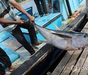 INDONESIA ECONOMY FISHERIES
