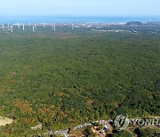 제주 선흘리 동백동산 에코촌 유스호스텔 재개장