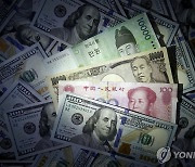한국·중국 등 아시아 통화가치, 2분기에 IMF 위기 후 최대 하락