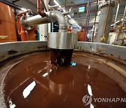 "스위스 업체의 벨기에 초콜릿 공장서 살모넬라균 발견"
