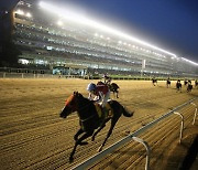 3년 만에 돌아온 '여름밤의 축제', 야간경마 시행